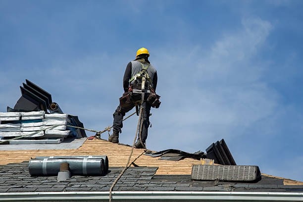 Professional Gutter Installation technician working in Maury City, TN